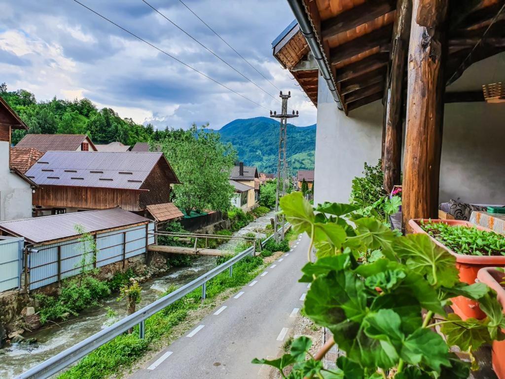 Вілла Casa De Langa Rau Rucar Екстер'єр фото