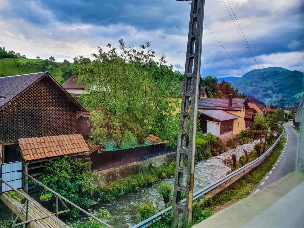 Вілла Casa De Langa Rau Rucar Екстер'єр фото