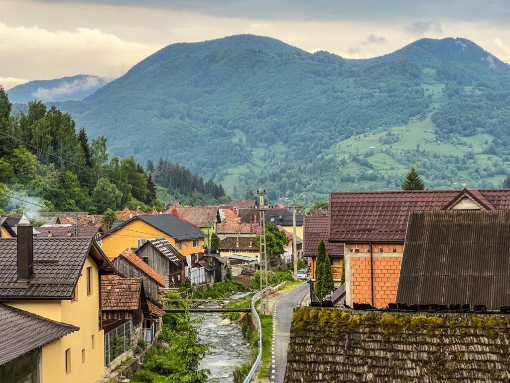 Вілла Casa De Langa Rau Rucar Екстер'єр фото